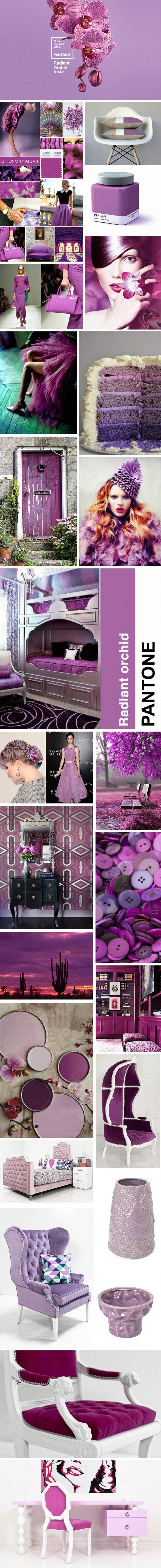Pantone’s Color of the Year 2014: Radiant Orchid