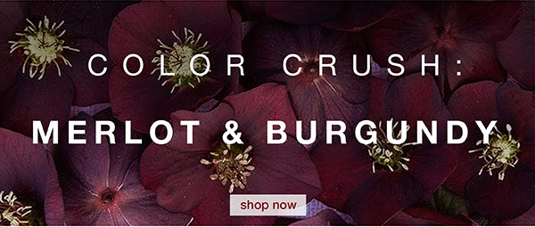 Color Crush: Merlot & Burgundy