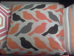 Update any room or piece of furniture is with a great pillow