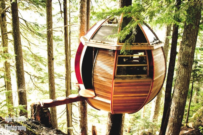 Secret Loft In The Woods, Canada