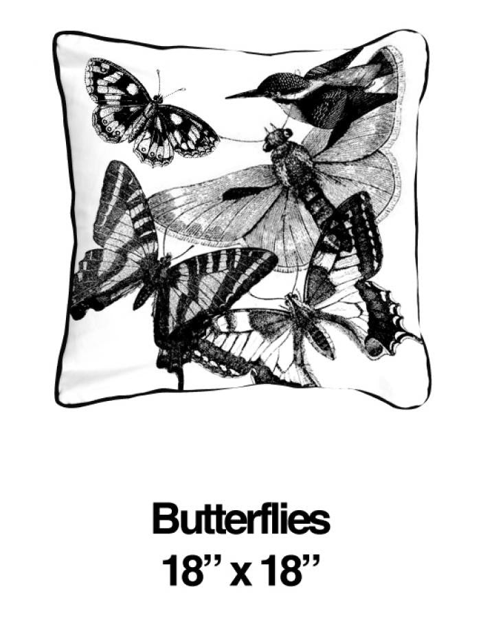 Butterflies And Birds Black - ModShop1.com