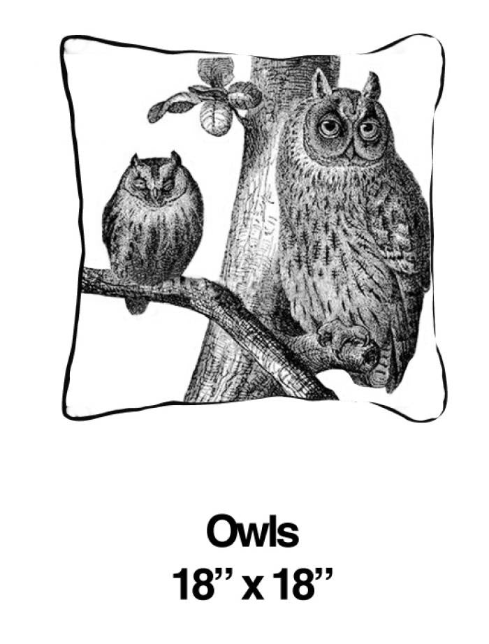 Owls Black - ModShop1.com