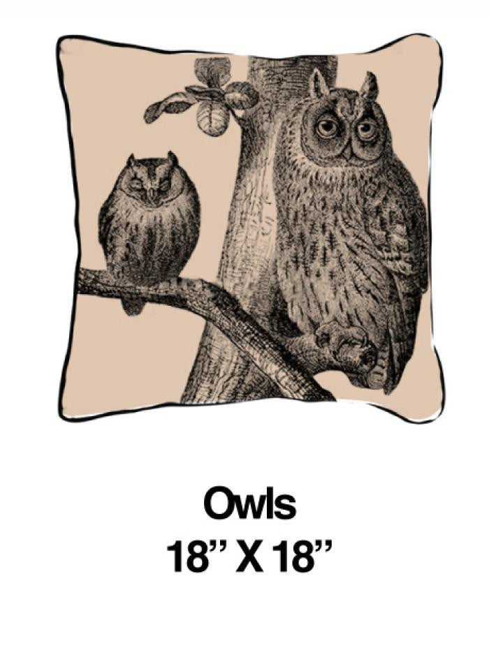 Owls Black Oatmeal - ModShop1.com