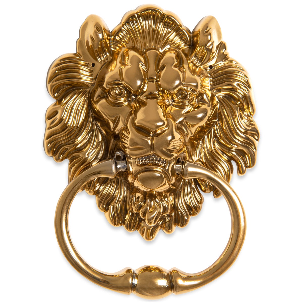 Lions Head Door Knocker, Brass (Set of 2) - ModShop1.com