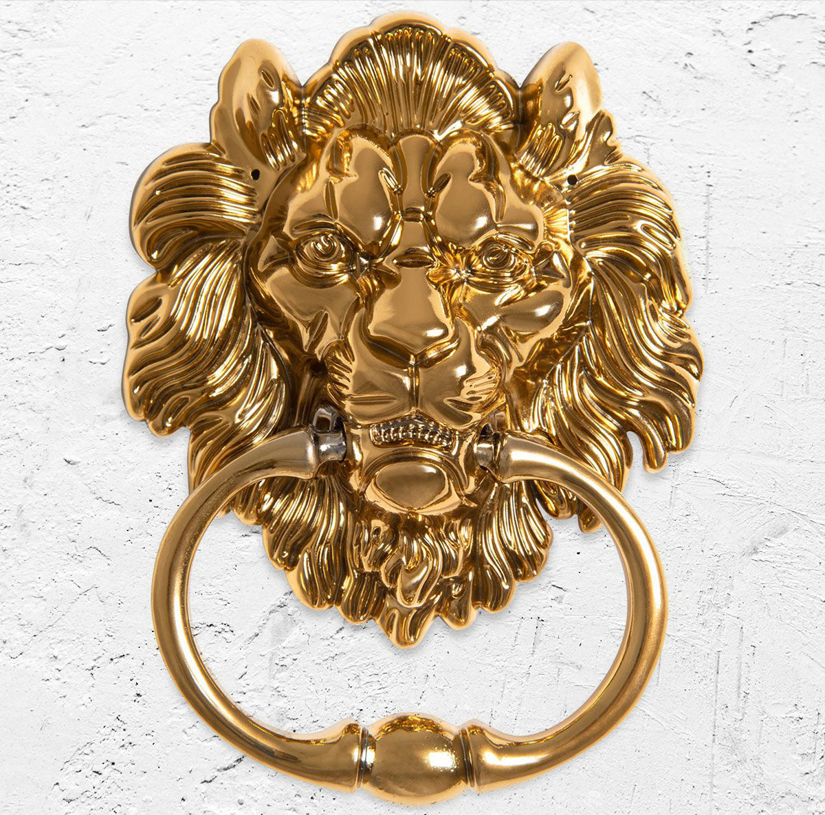 Lions Head Door Knocker, Brass (Set of 2)