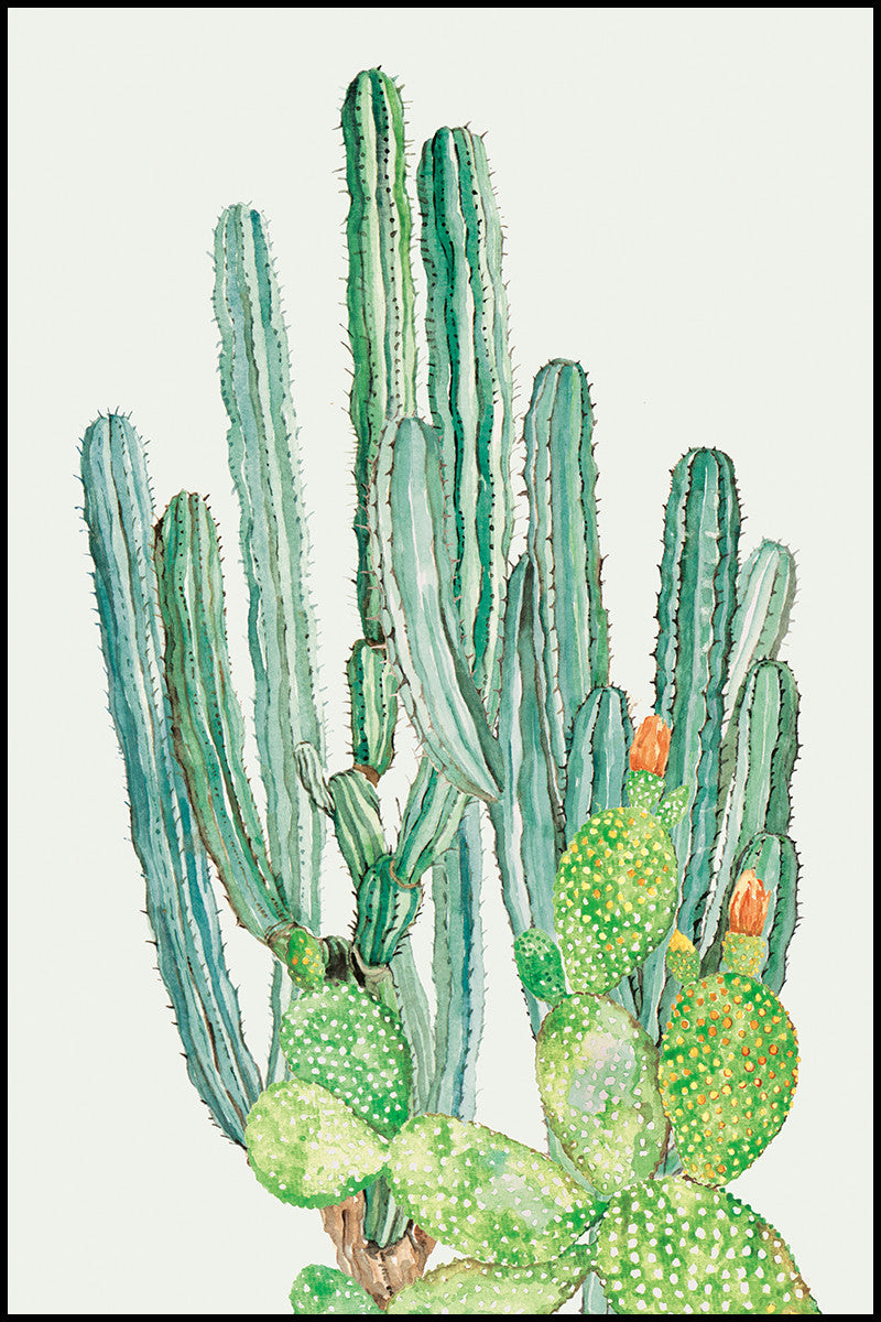 Mod Cactus Pattern Mod Cactus - ModShop