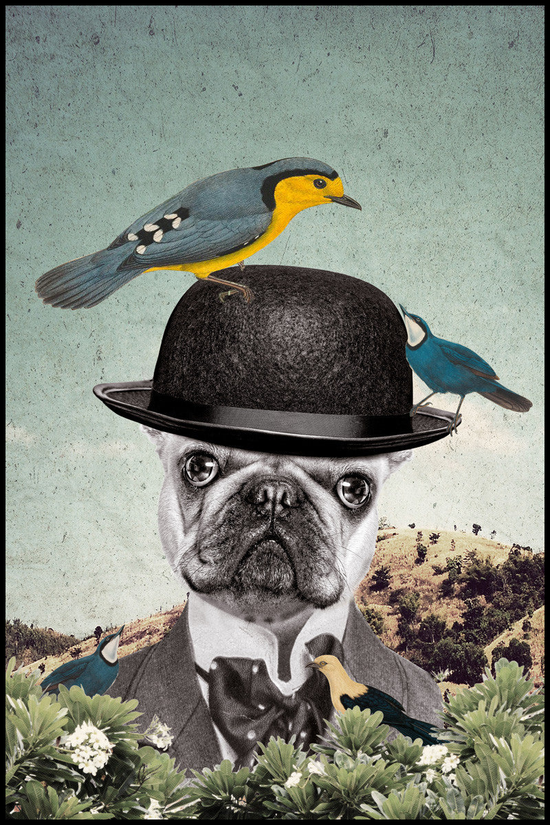 Mod Chap - ModShop1.com